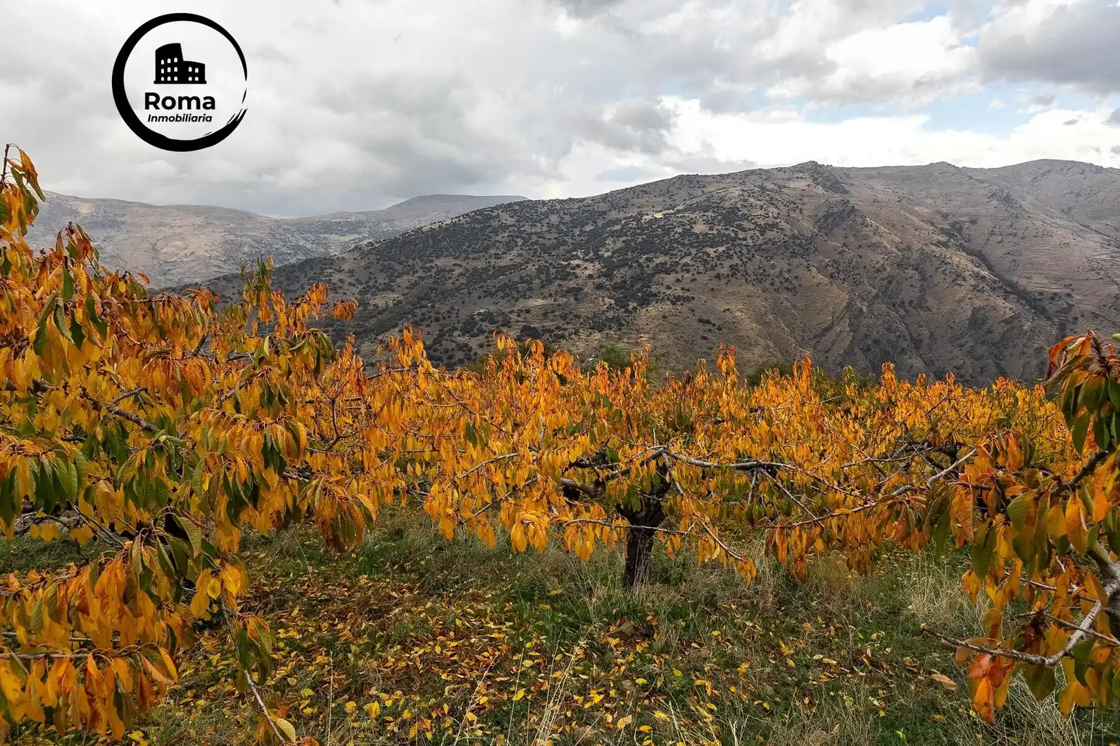 Lands and plots for sale in Güéjar Sierra, imagen 11