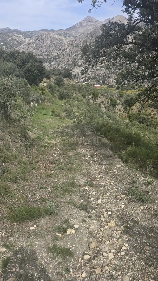 Terreno rustico in vendita a Polígono 11 Parcela 307 EL CERRILLAR. LOS GUAJARES (GRANADA), imagen 14