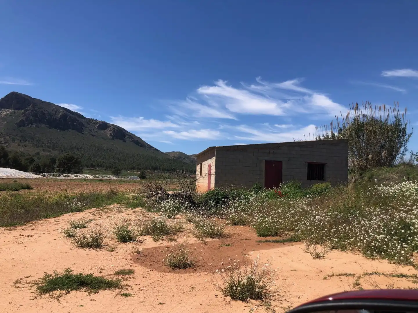 Casa rústica en venda a Hellín, imagen 2