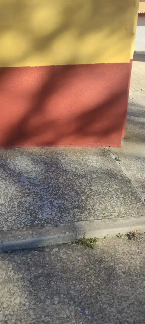 Vista exterior de Finca rústica en venta en San Cebrián de Campos con Calefacción, Trastero y Amueblado