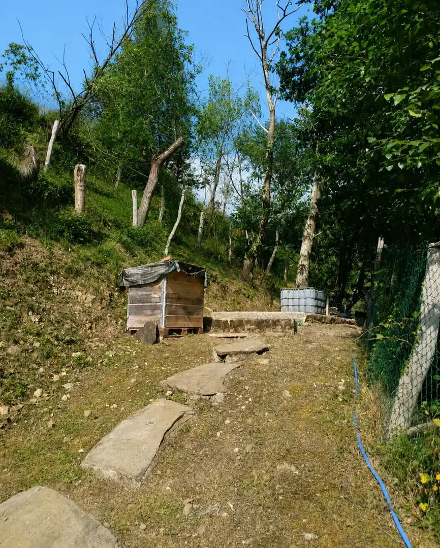 Exterior view of Country homes for sale in Piloña
