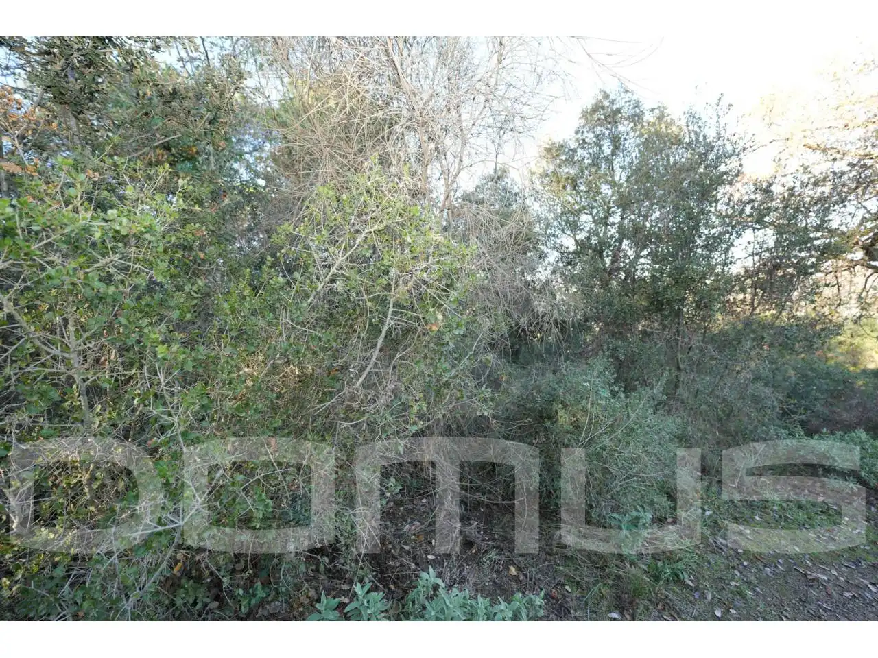 Terreno rústico en venta en Sant Vicenç Dels Horts, imagen 14