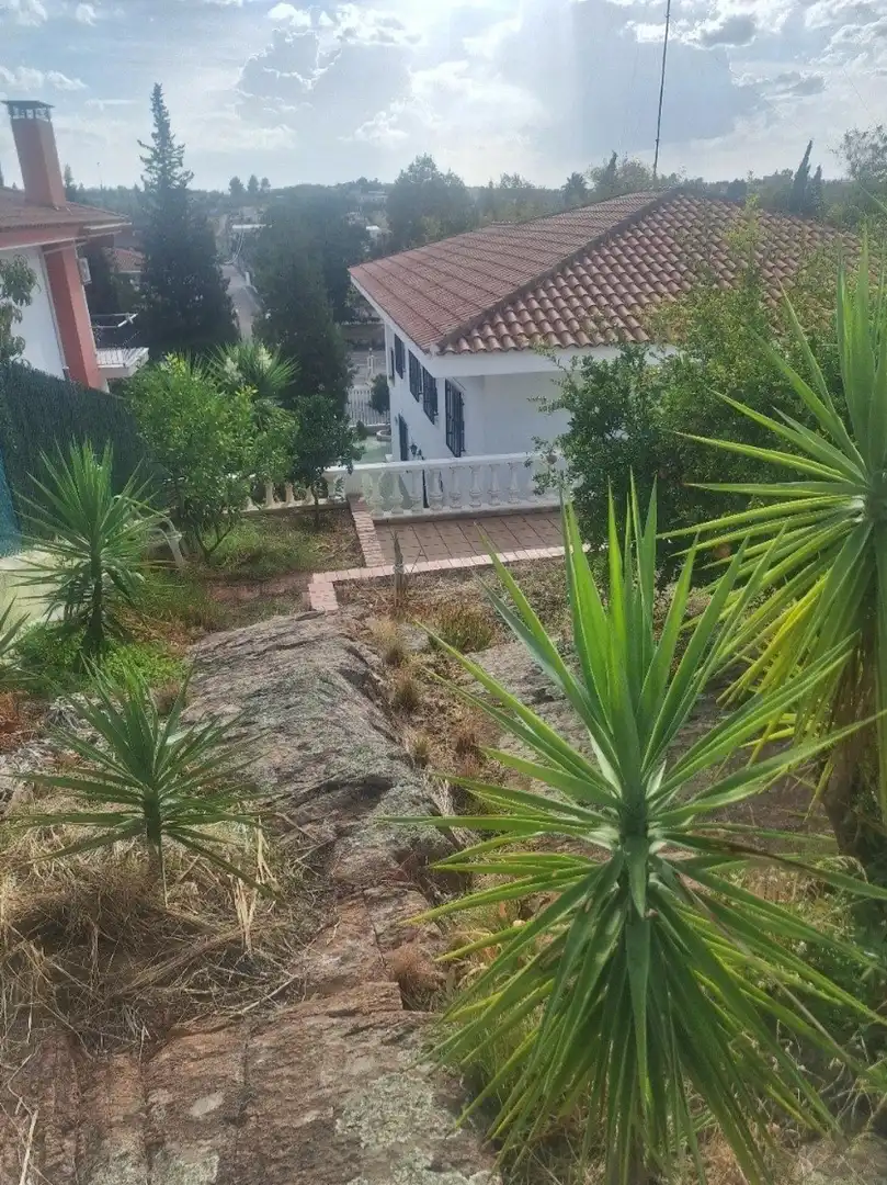 Houses for sale in Almendralejo, Badajoz