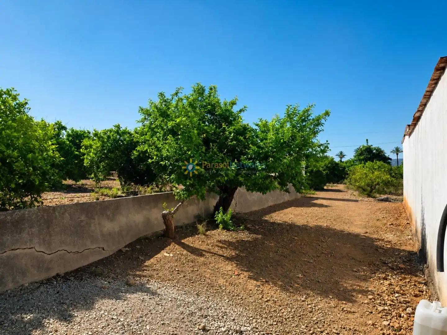 Finca rústica en venda en Cotes amb Jardí privat, Terrassa i Balcó