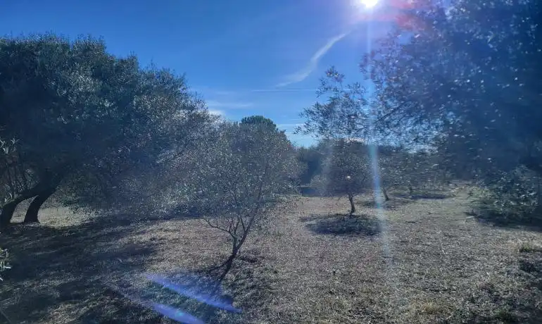 Lands and plots for sale in Garriguella, imagen 61