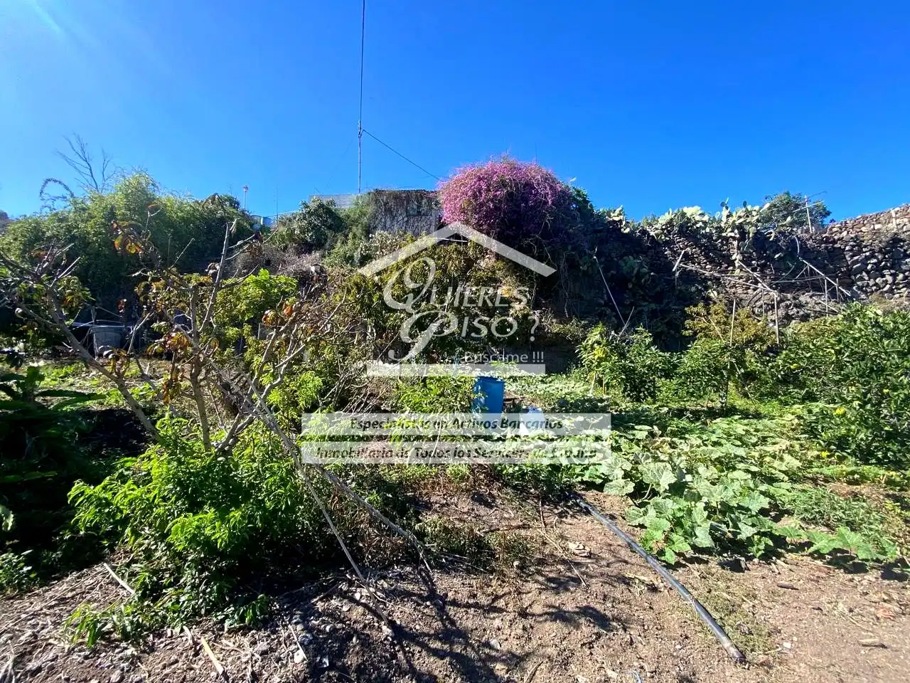 Maison rustique avec jardin à vendre à Casas de Aguilar, imagen 15