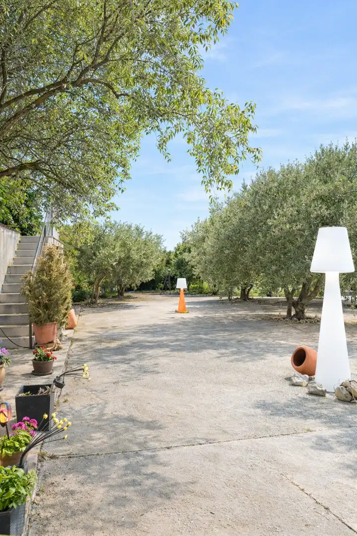 Terreno rustico in vendita a Chinchón, imagen 4