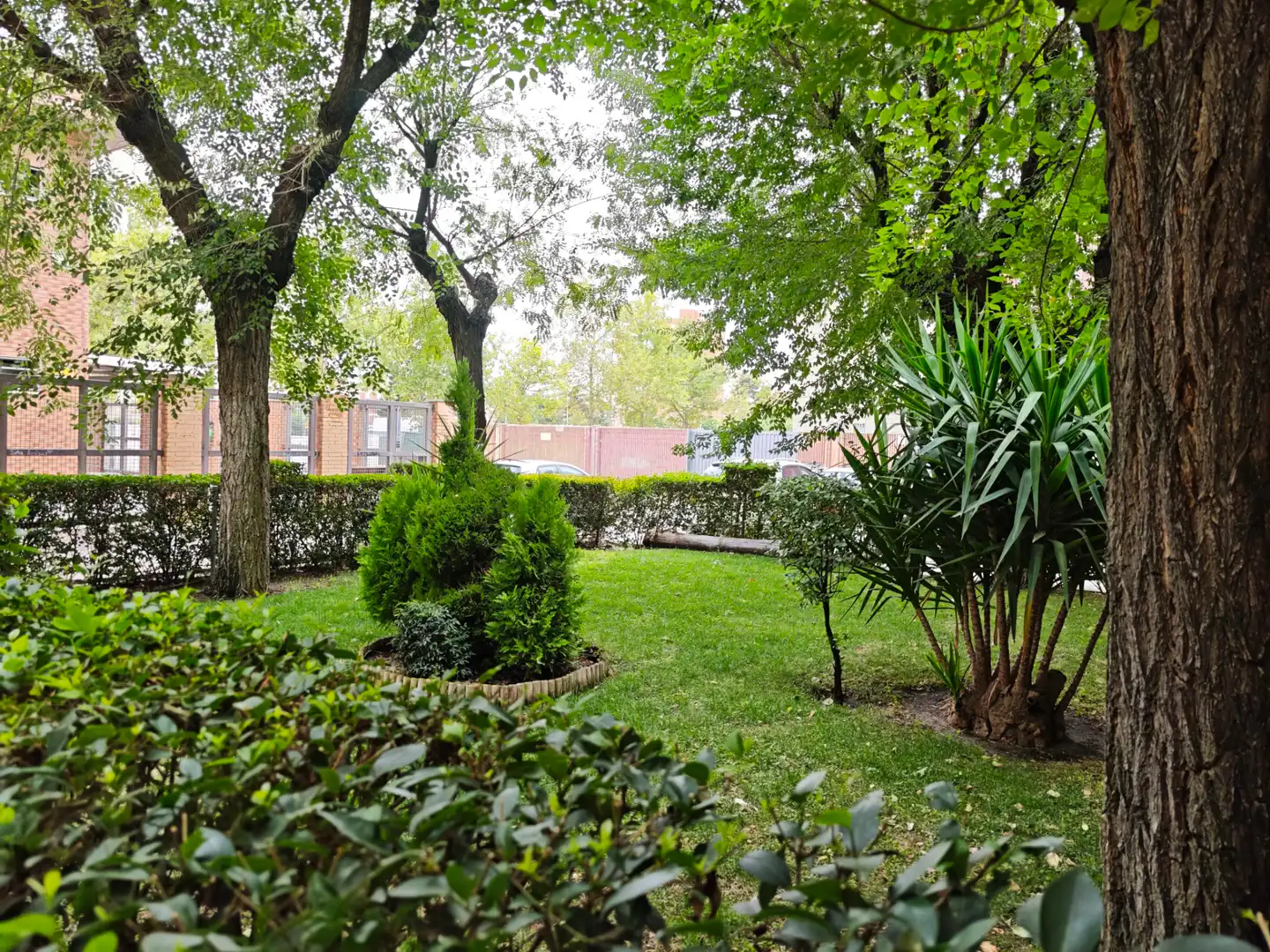 Jardí de Pis en venda en Madrid amb Calefacció i Moblat