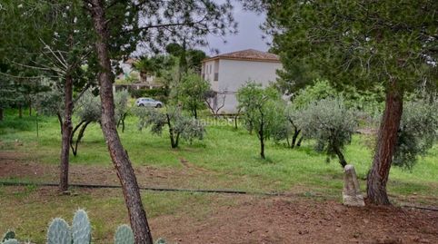 Casa chalet con 1000m2 de terreno, imatge 2