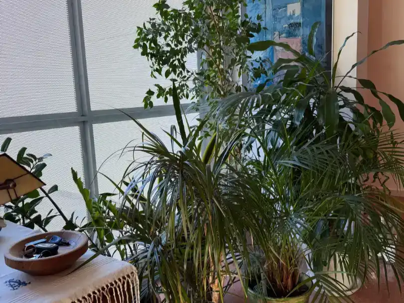 Casa o chalet en venta en Sant Esteve de Palautordera, Barcelona