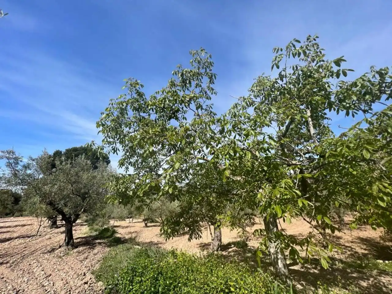 Chalet con jardín en venta en Calle Poligono, imagen 152