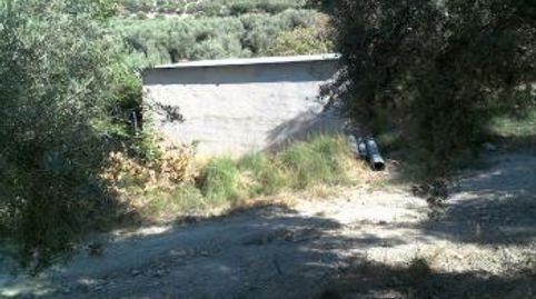 VENTA DE TERRENO AGRARIO EN QUESADA