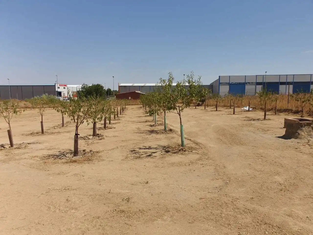 Terrenys i solars en venda a Guadamur, imagen 6