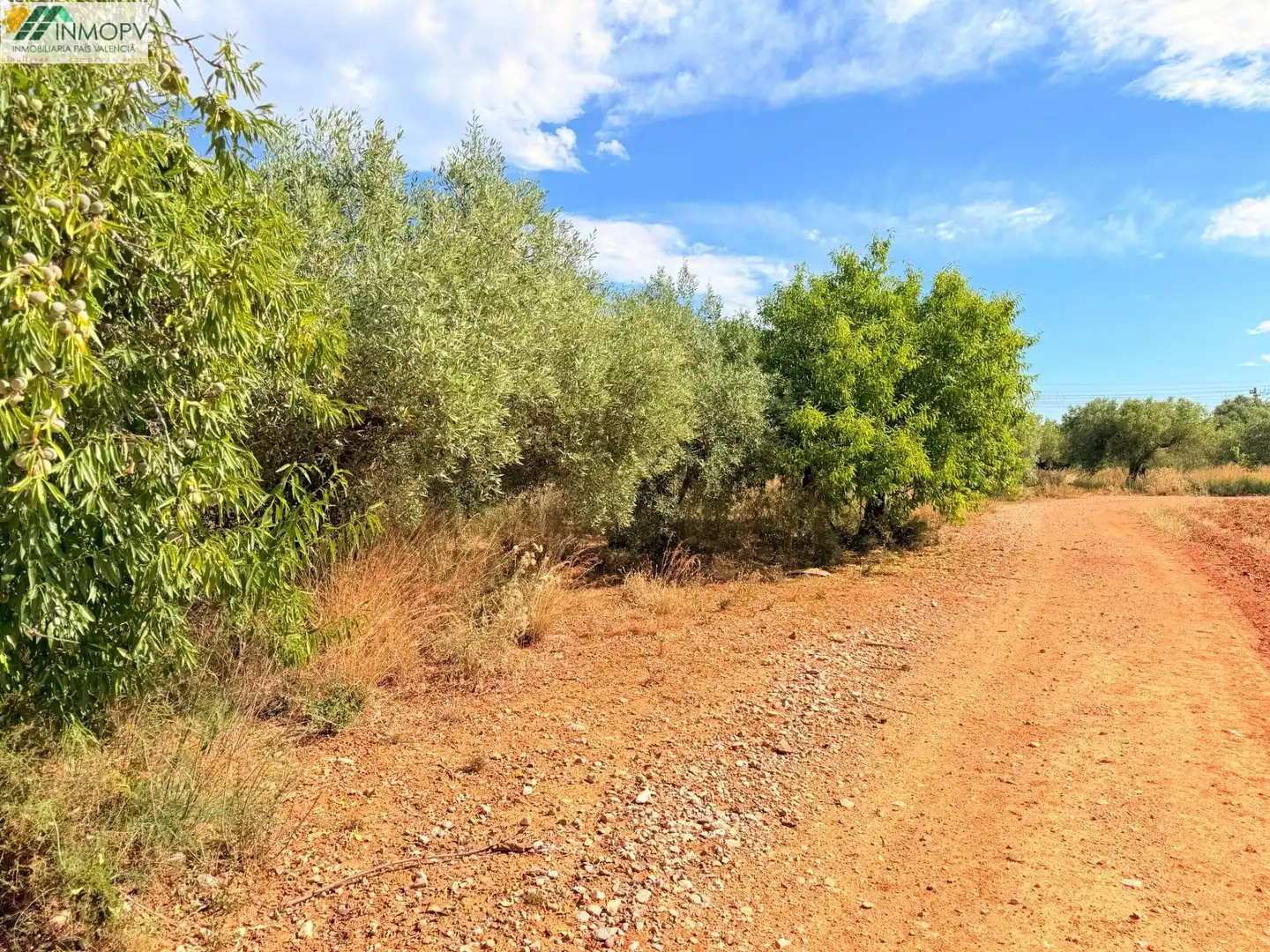 Terreny rústic en venda a Las Atalayas - Urmi - Cerro de Mar, imagen 12