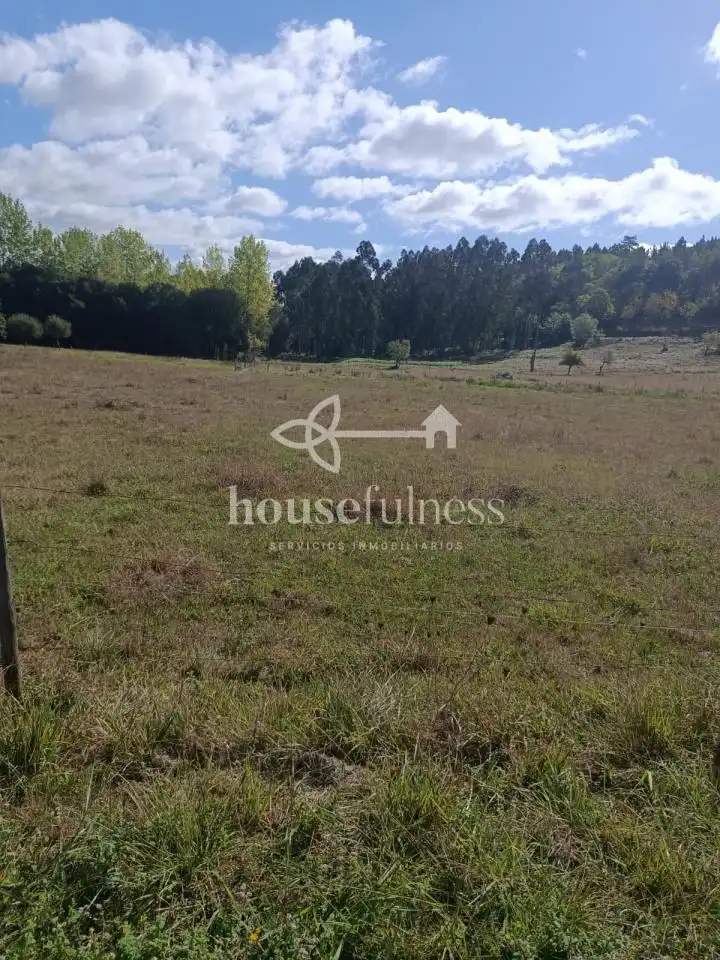 House with garden for sale in Moeche, imagen 41