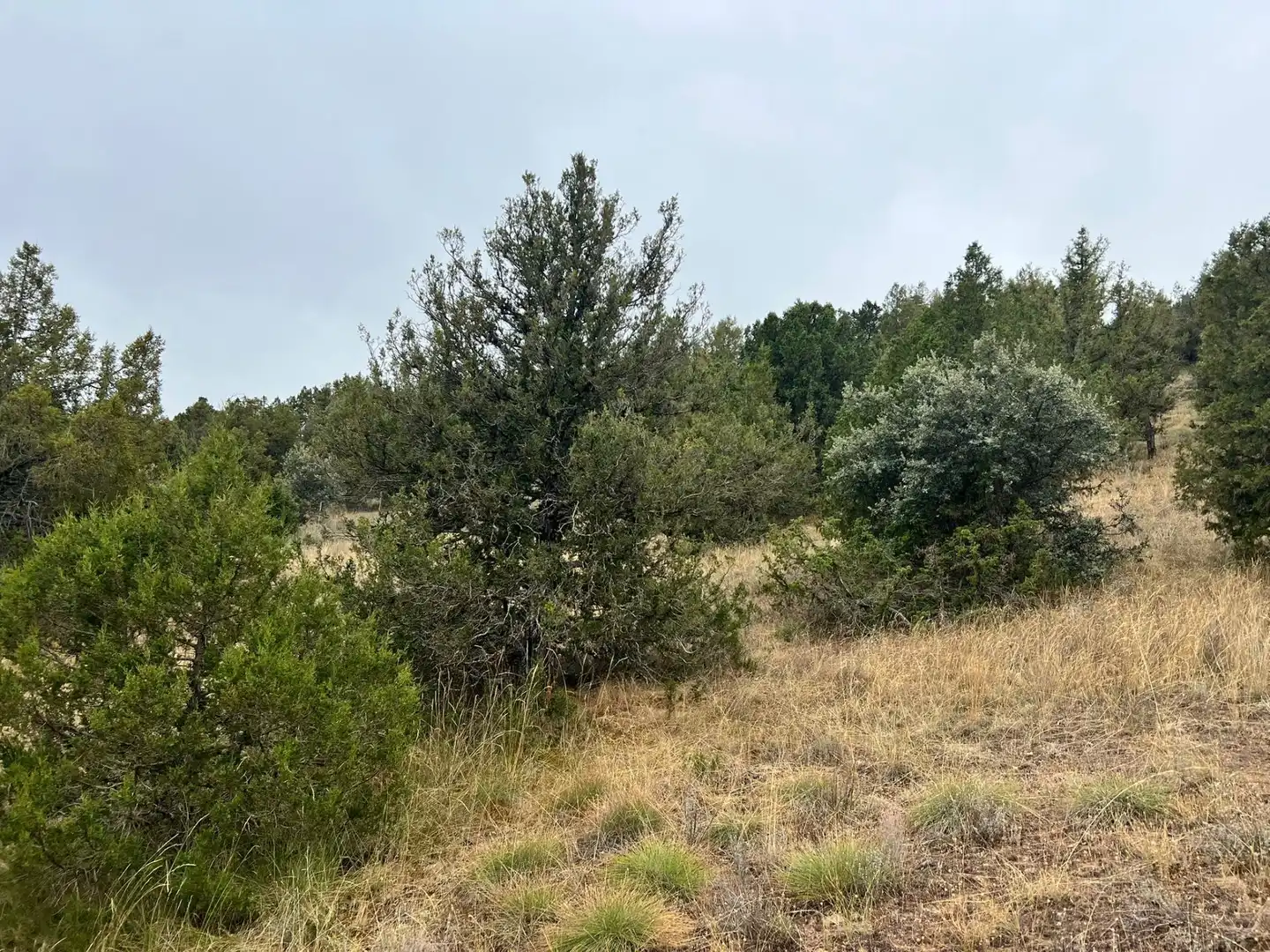 Residencial en venda a Montes Cortos, Duruelo