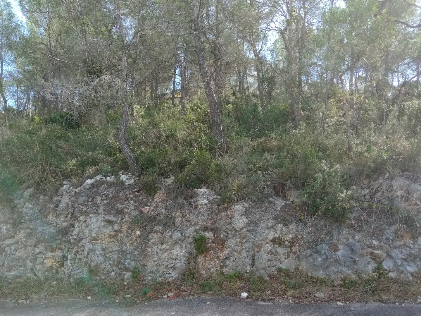 Terreny residencial en venda a Olivella, imagen 5