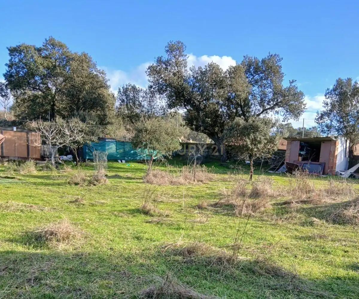 Terreno en venta en Plasenzuela