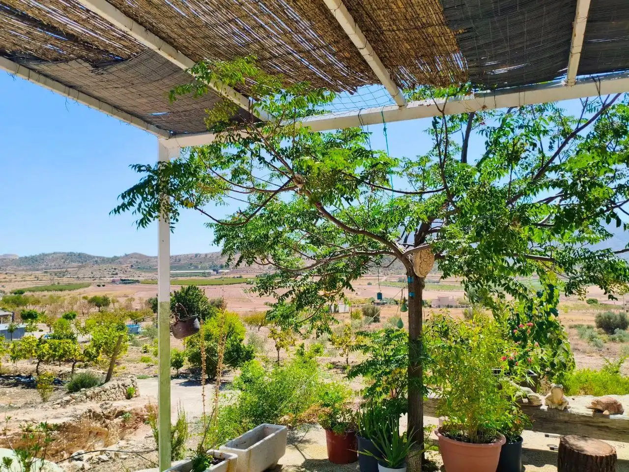 Casa rústica en venda a Hondón de las Nieves / El Fondó de les Neus, imagen 8