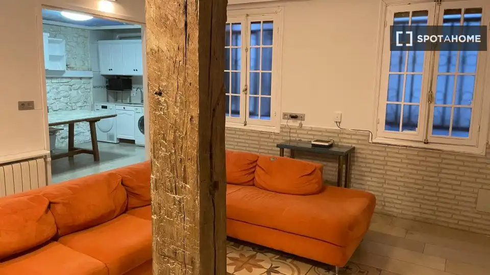 Sala d'estar de Pis per a compartir en Donostia - San Sebastián  amb Aire condicionat, Calefacció i Moblat