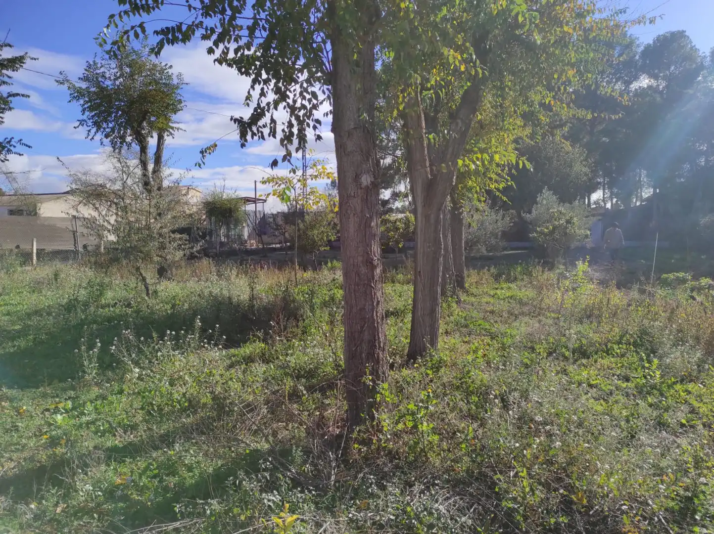 Casa rústica en venda a OJOS DE SAN JORGE, imagen 30