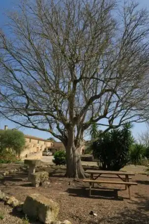 Casa rústica amb piscina en venda a Ariany, imagen 46