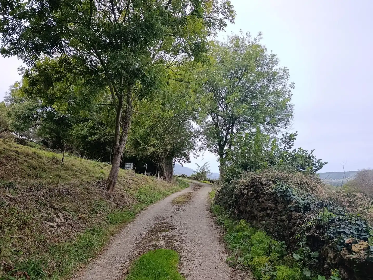 Rustikales Grundstück zum Verkauf in Carretera Piñera (Noriega) 0, imagen 67