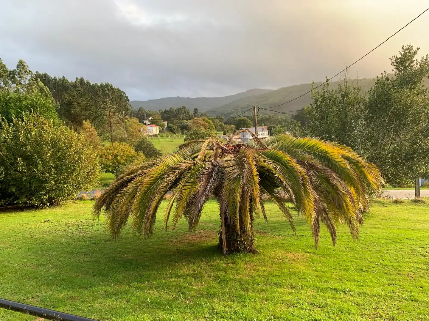 Jardín de Casa o chalet en venta en Neda con Calefacción, Jardín privado y Amueblado
