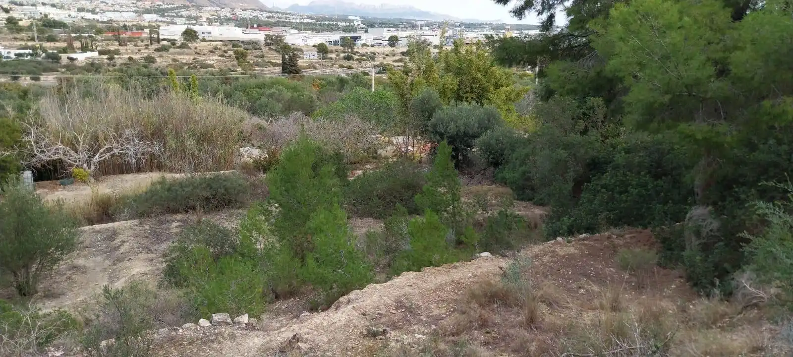 Wohnbaugrundstück zum Verkauf in Platja de Torres, imagen 8