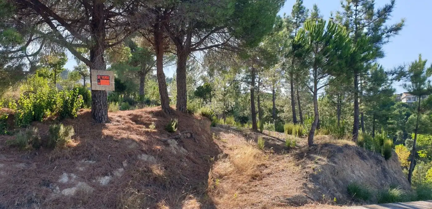 Wohnbaugrundstück zum Verkauf in Carrer de l'Ametller 31, imagen 7