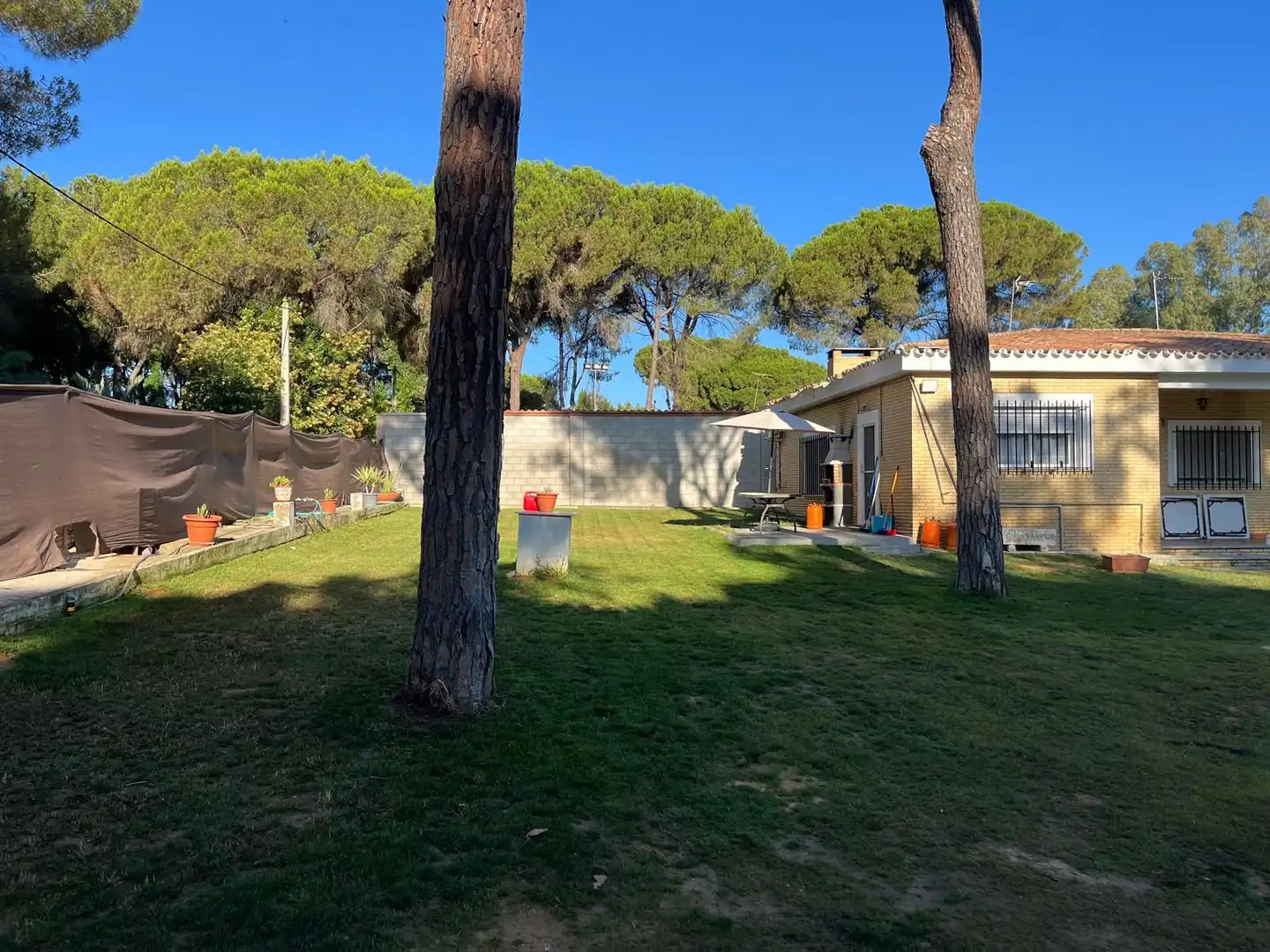 Jardín de Finca rústica en venta en Isla Mayor con Aire acondicionado, Jardín privado y Piscina
