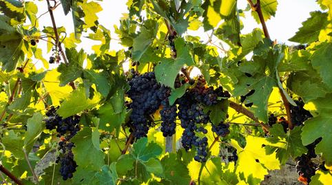 Photo 4 of Country house for sale in M-507, Villamanta, Madrid