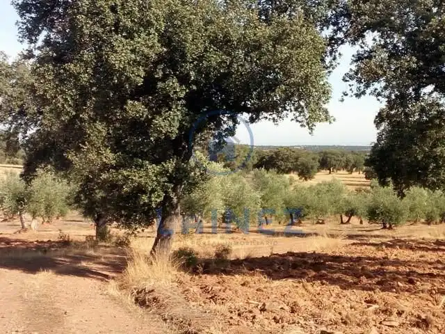 Terreny residencial en venda a Villanueva del Duque, imagen 12