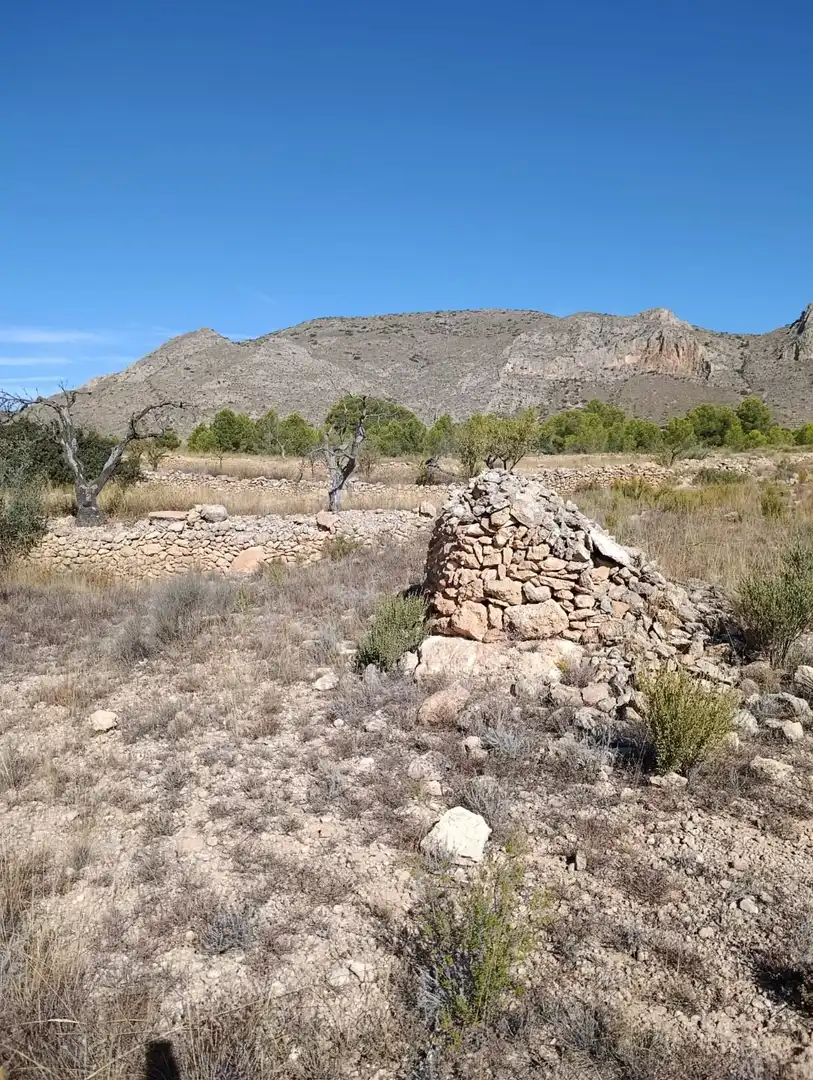 Terreno rustico in vendita a Hondón de las Nieves / El Fondó de les Neus, imagen 22