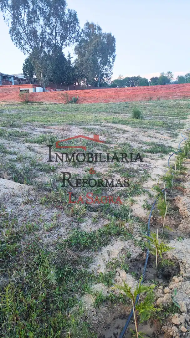 Terreni e lotti in vendita a Estación - Cruz Roja, imagen 8