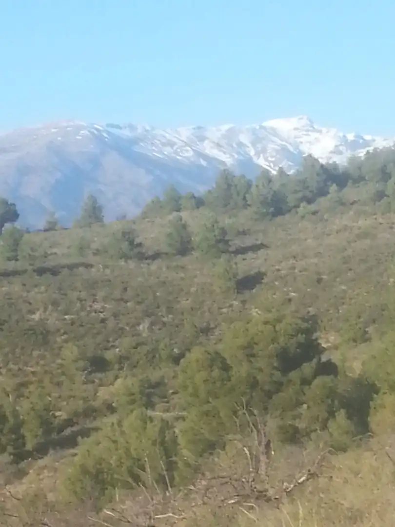Rustikales Grundstück zum Verkauf in Motril  ciudad, imagen 7