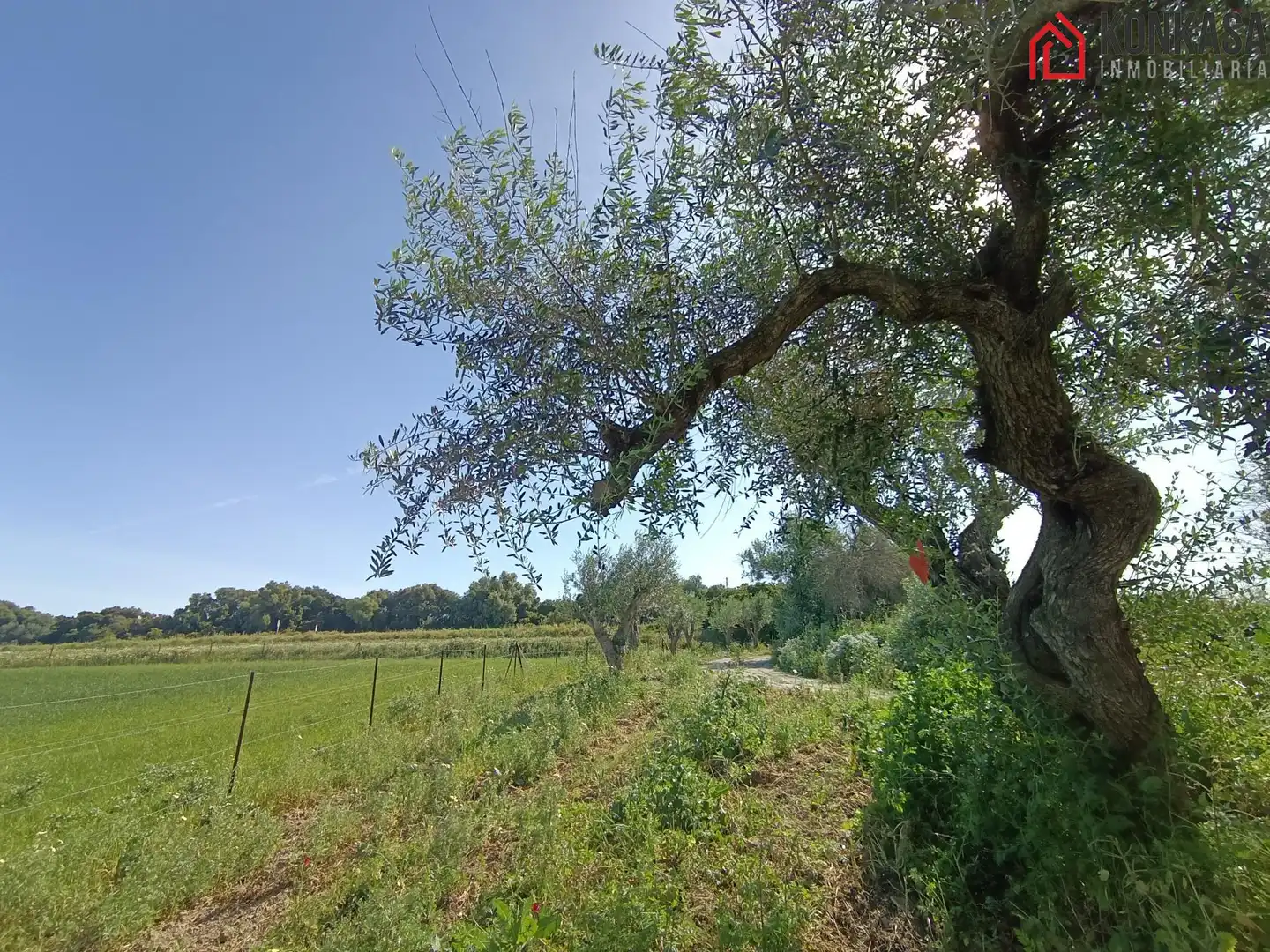 Casa rústica en venda a Arcos de la Frontera, imagen 34