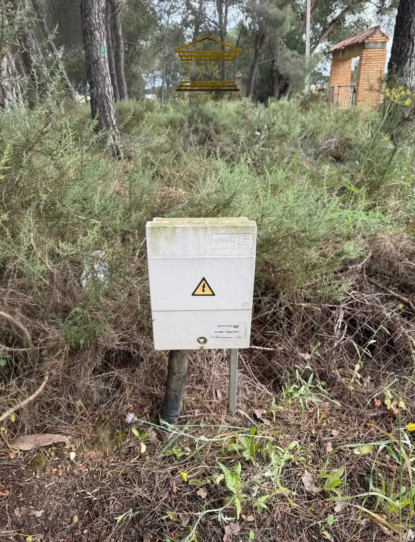 Vista exterior de Terreno en venta en Almonte