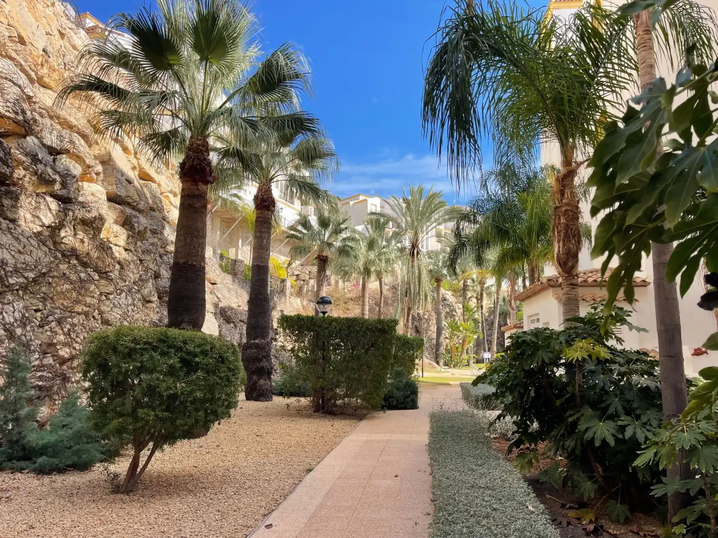 Apartments for sale in Mascarat