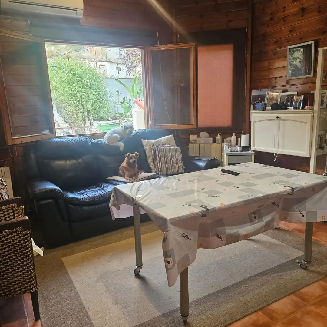 Sala d'estar de Casa o xalet en venda en Vallirana amb Aire condicionat, Calefacció i Jardí privat