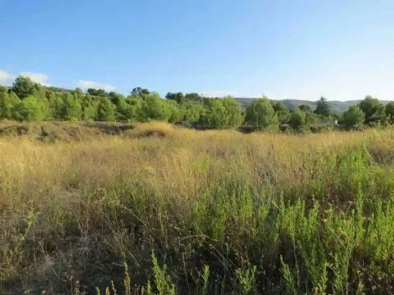 Terreny residencial en venda a Sant Josep - Zona Hospital, imagen 6