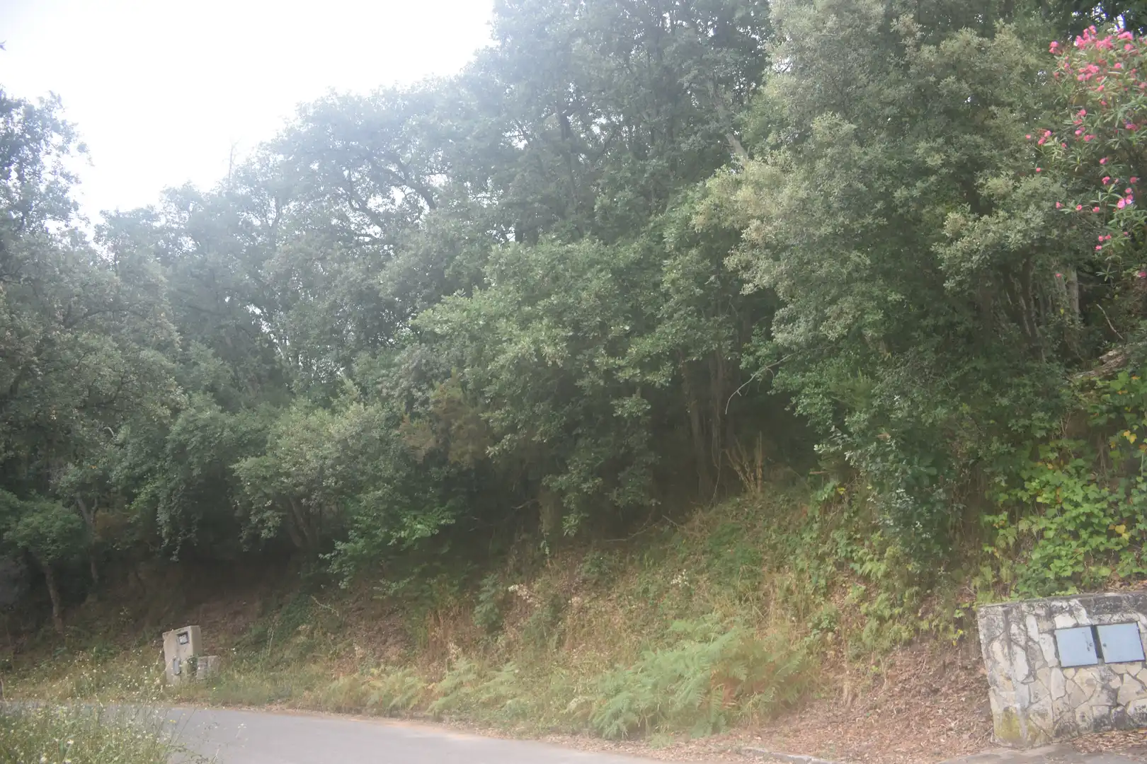 Residential for sale in Arbúcies