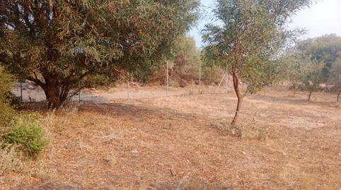 Photo 5 of Residential for sale in Los Caños de Meca, Cádiz