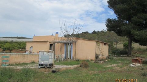 finca con caseta, balsa  y agua a 9 km del centro de Vinaròs, imatge 5