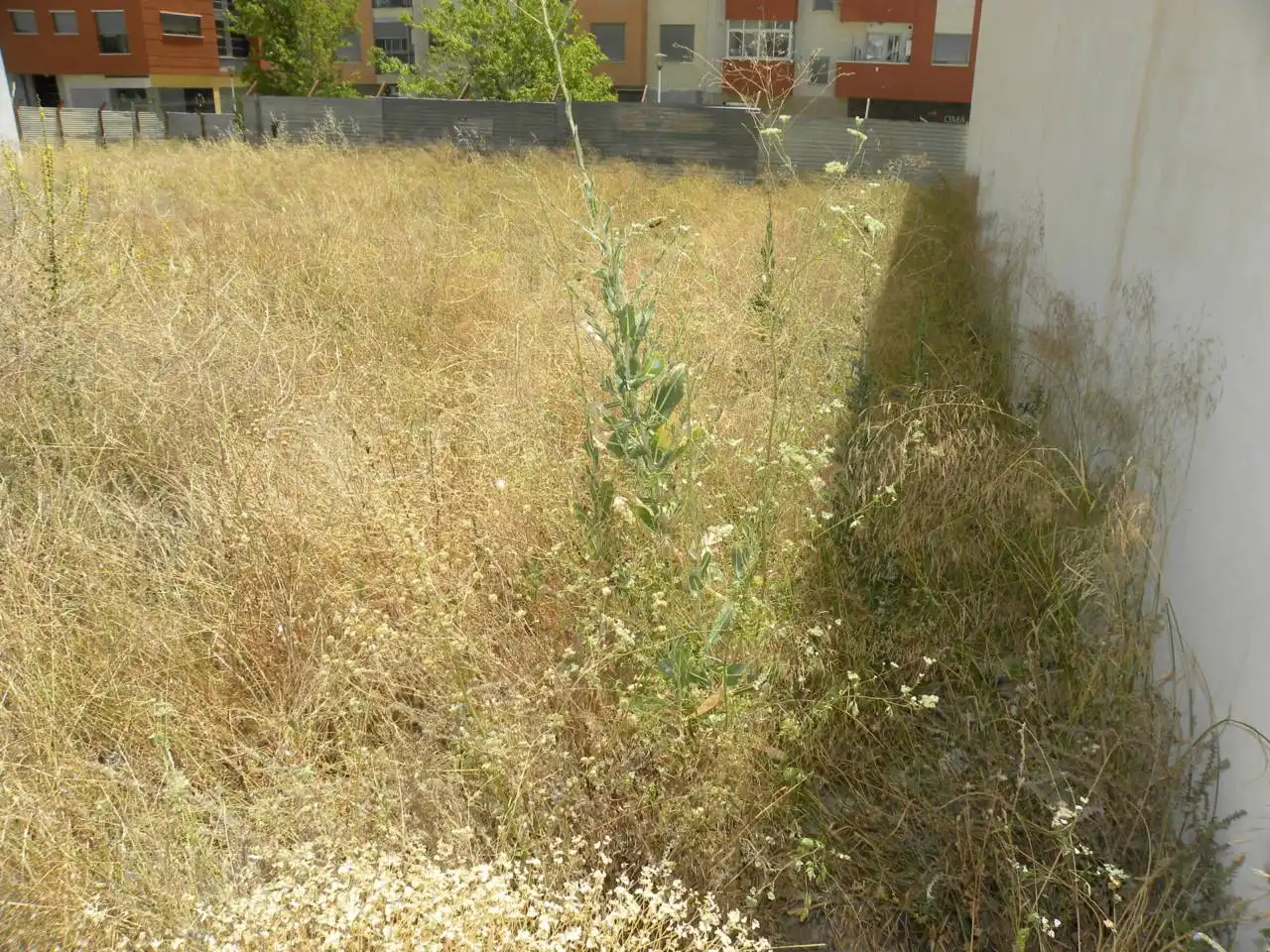 Residential for sale in Caravaca de la Cruz