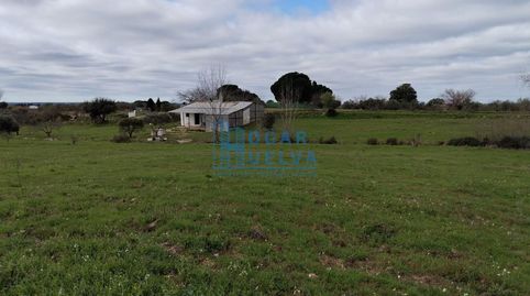 Foto 3 de Finca rústica en venda a Parcela, Bollullos Par del Condado, Huelva