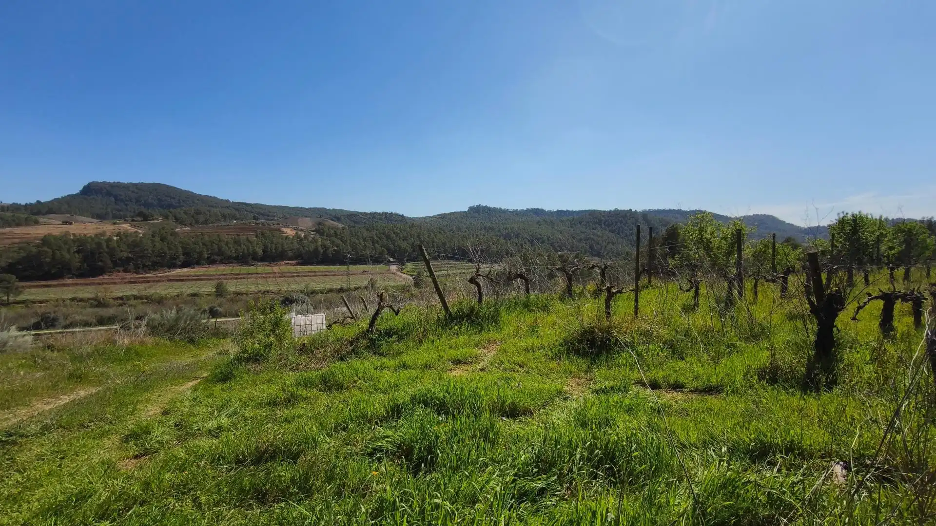 Grundstücke zum Verkauf in El Molar (Tarragona)