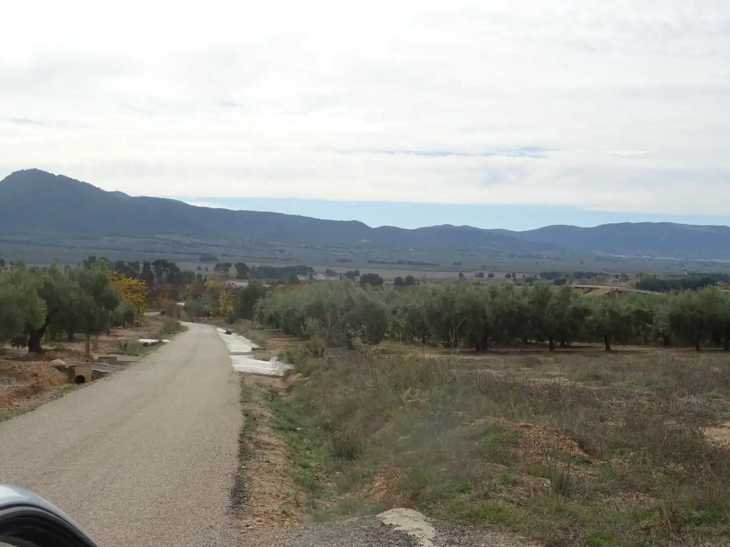 Residential land for sale in Beneixama, imagen 3
