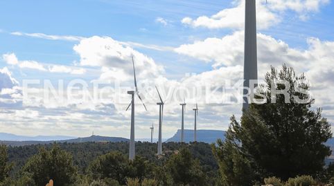 Parque eólico en producción con finca de recreo y caza
