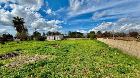 Foto 5 de Finca rústica en venta en Sa Casa Blanca, Palma de Mallorca